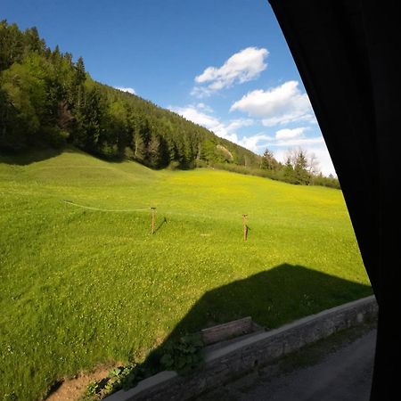 Haus Garz Διαμέρισμα Weissensee Εξωτερικό φωτογραφία