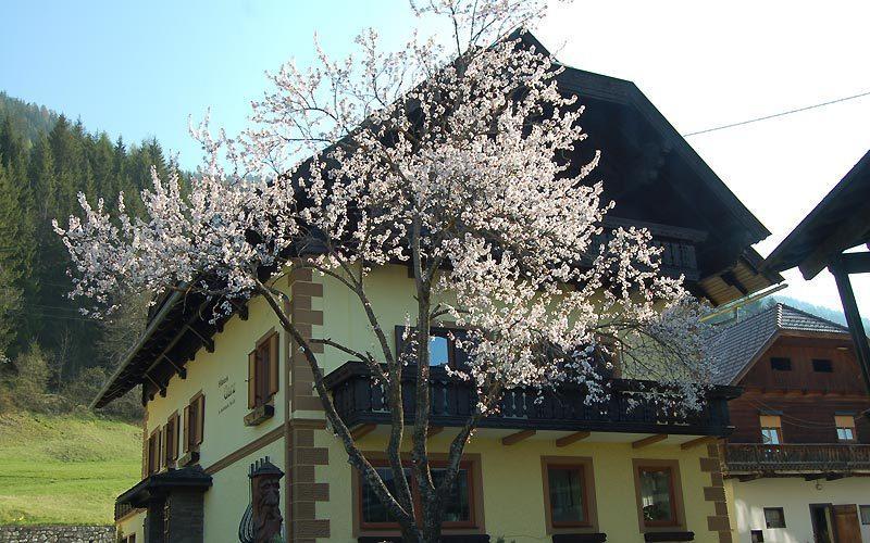 Haus Garz Διαμέρισμα Weissensee Εξωτερικό φωτογραφία